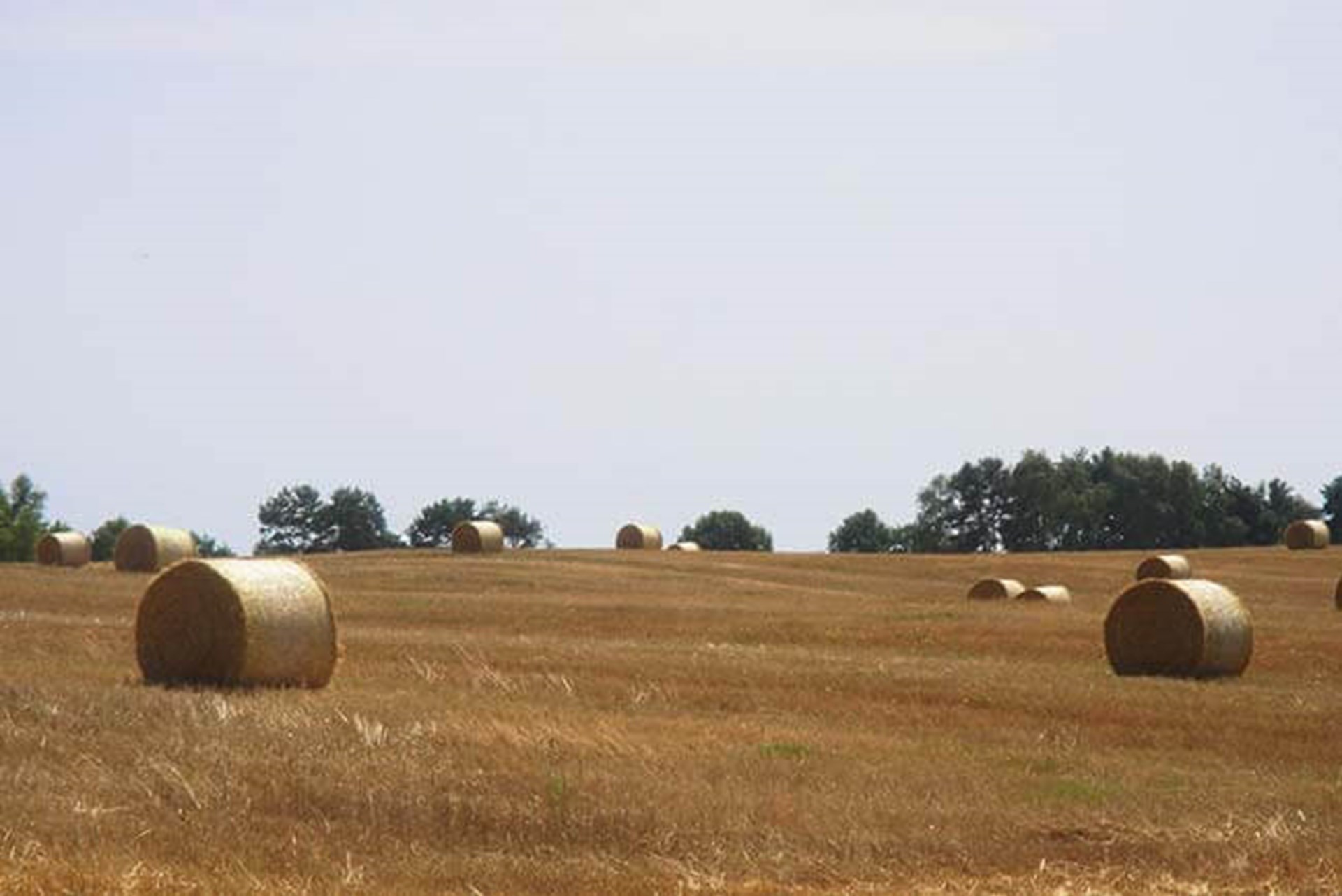 Landschaft in Brandenburg